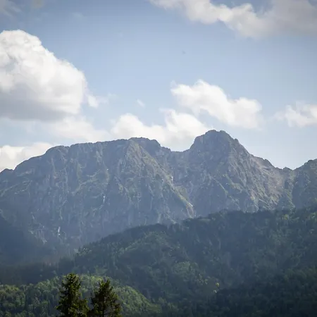 Widokowa * Kościelisko